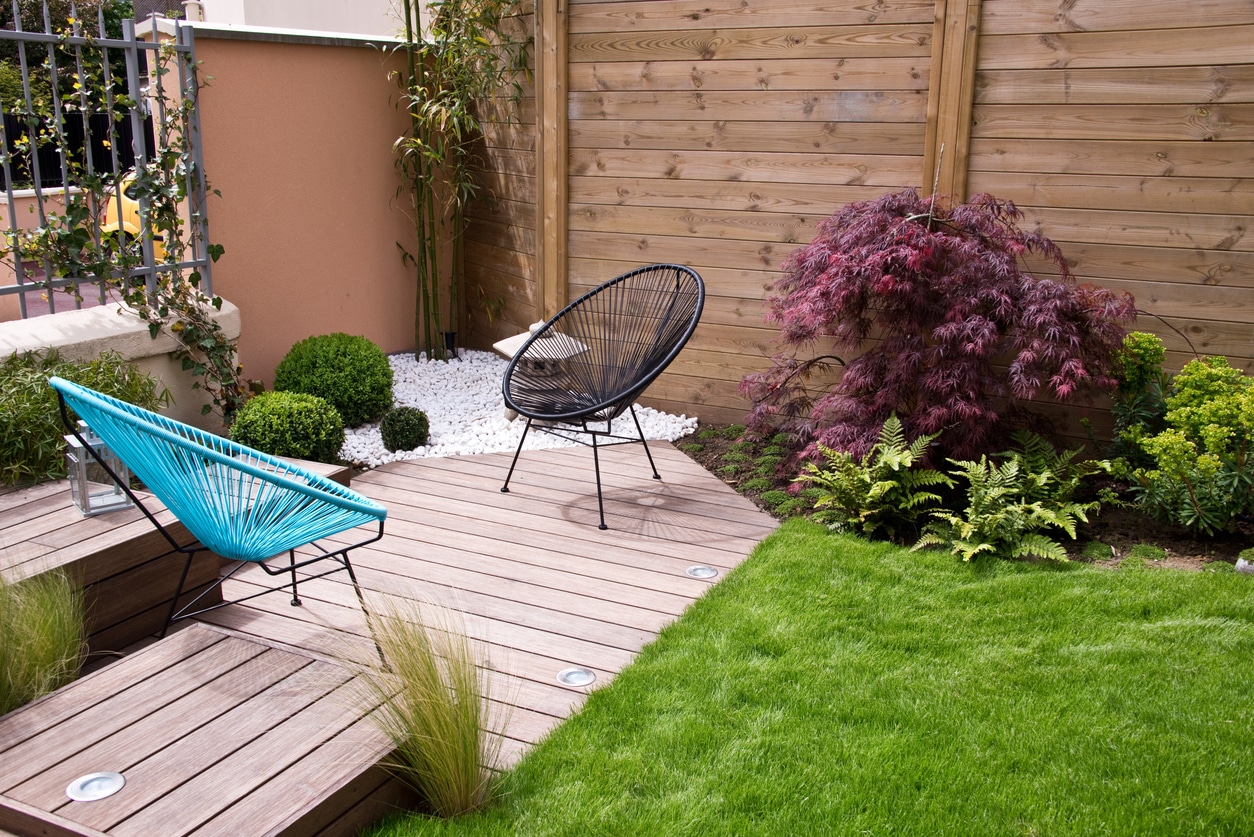 Small garden decking ideas: timber deck with blue wire chair, black wire chair, clipped box balls, Japanese maple and ornamental grasses
