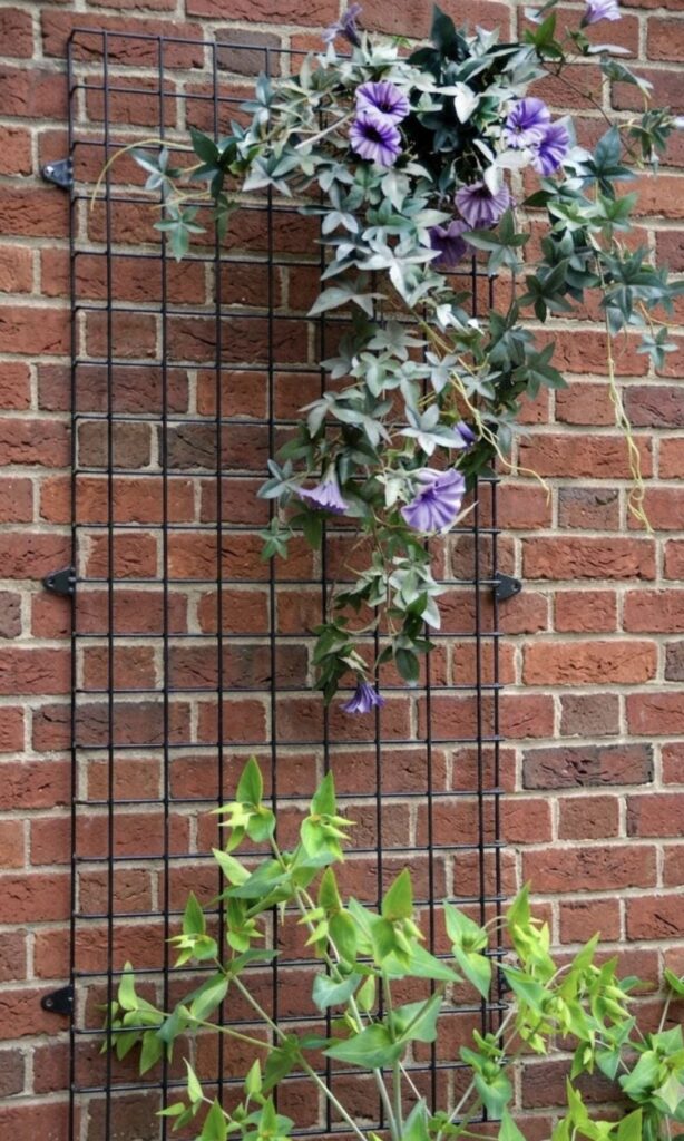 Wire mesh trellis mounted on a brick wall with climbing plants