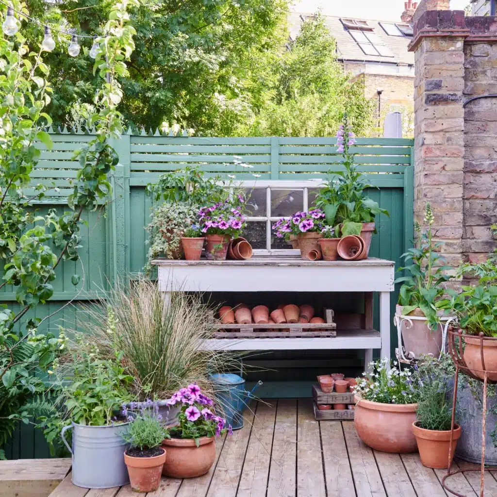 Green painted garden fence with a slatted topper behind a white potting bench filled with terracotta pots and petunias