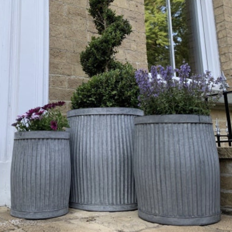 Galvanised dolly tub planters by a front door, deep enough for layered bulbs