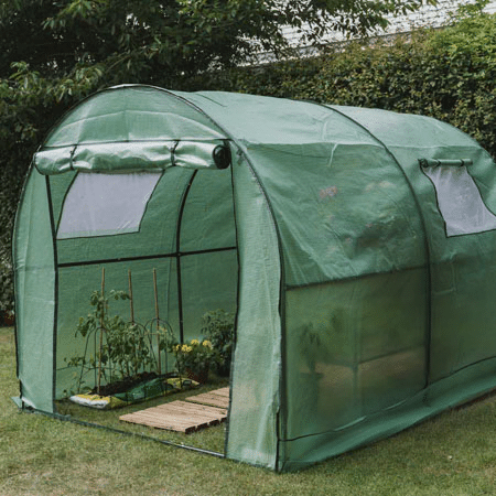 Green walk-in polytunnel on a garden lawn