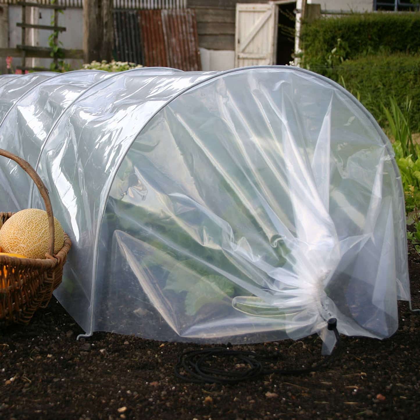 Clear zip-up grower frame cover sheltering potted plants on a patio