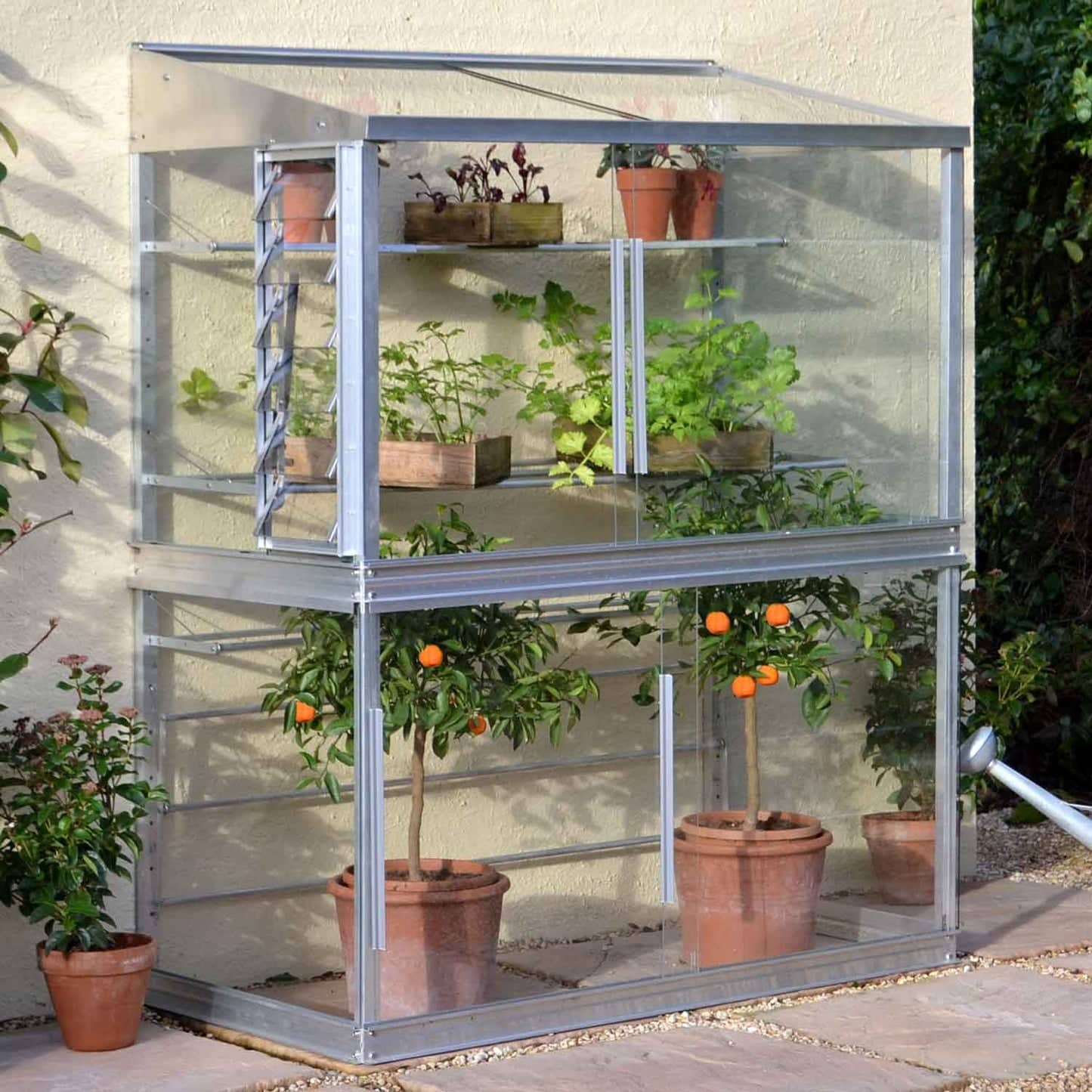Aluminium lean-to wall greenhouse with shelves of potted plants