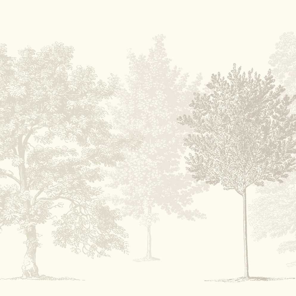 Cream forest wallpaper mural with a neutral tree print for a modern beige bedroom