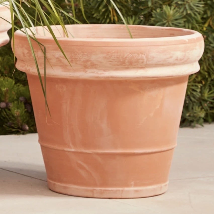 Bordo Italia frost-proof Italian terracotta plant pot with a rolled rim