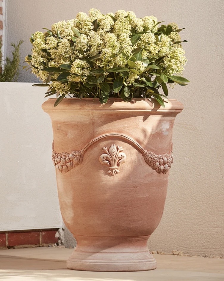 Messina large Italian terracotta urn with fleur-de-lis and garland detail, a classic pot for spring bulbs